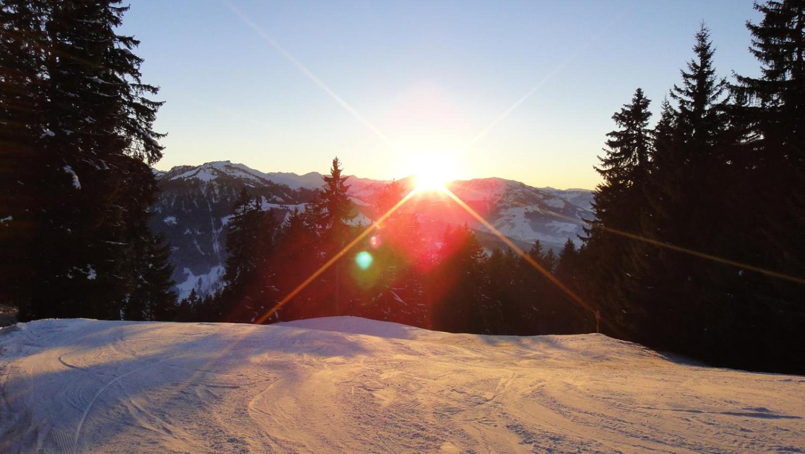 Weinberg By Managers Apartment Kirchberg in Tirol